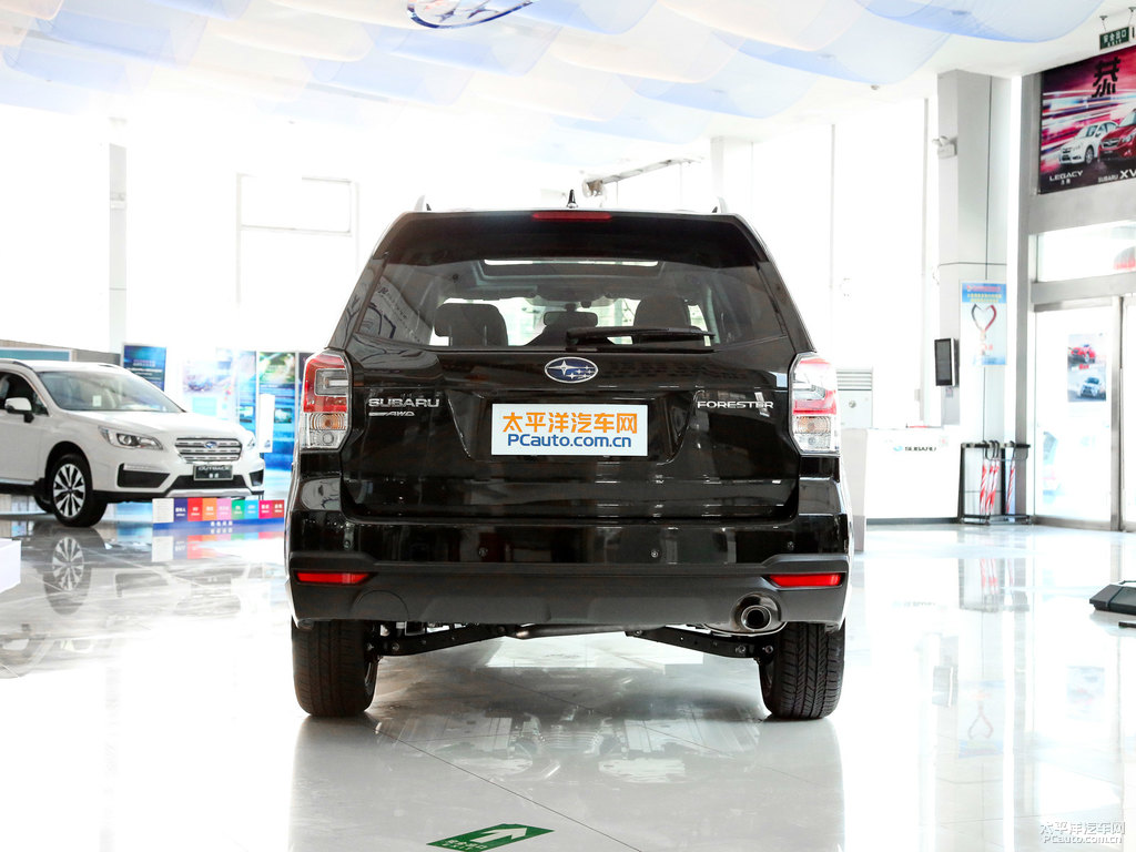 珠光寶石黑森林人整車外觀外觀圖片