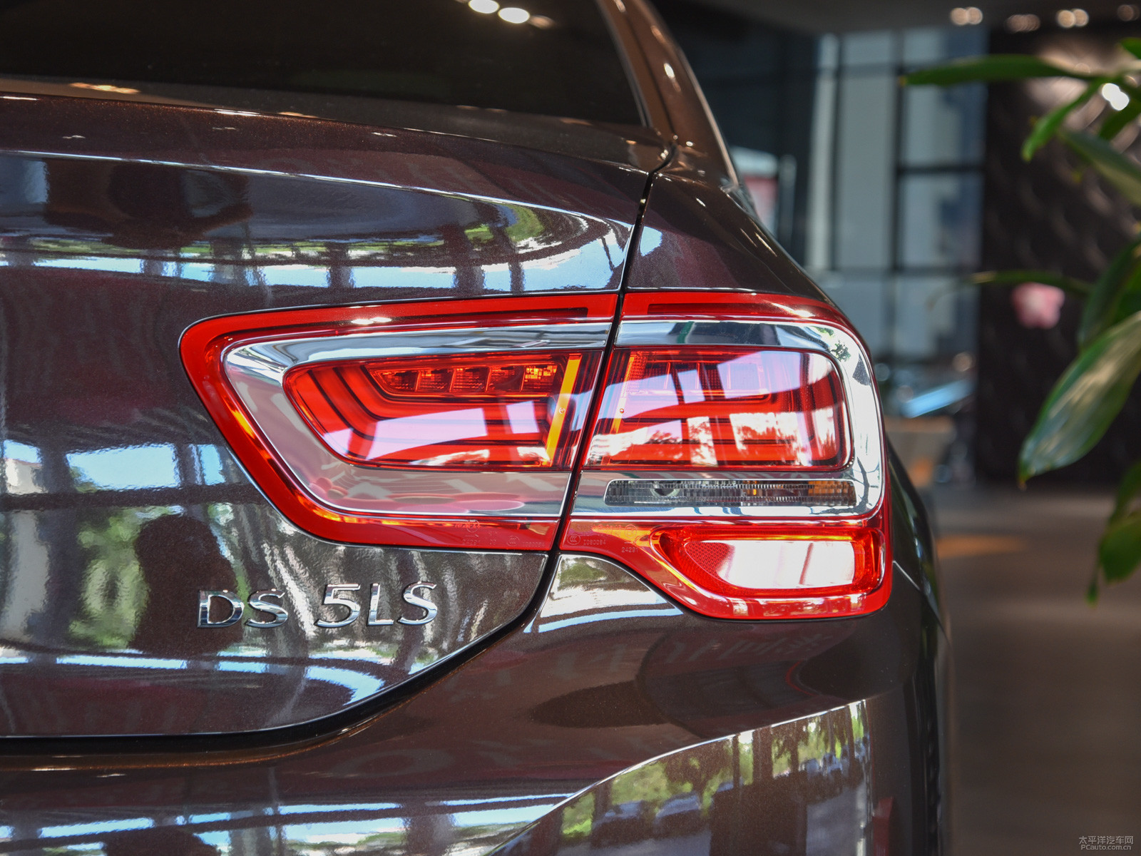 DS 5LS外觀高清大圖