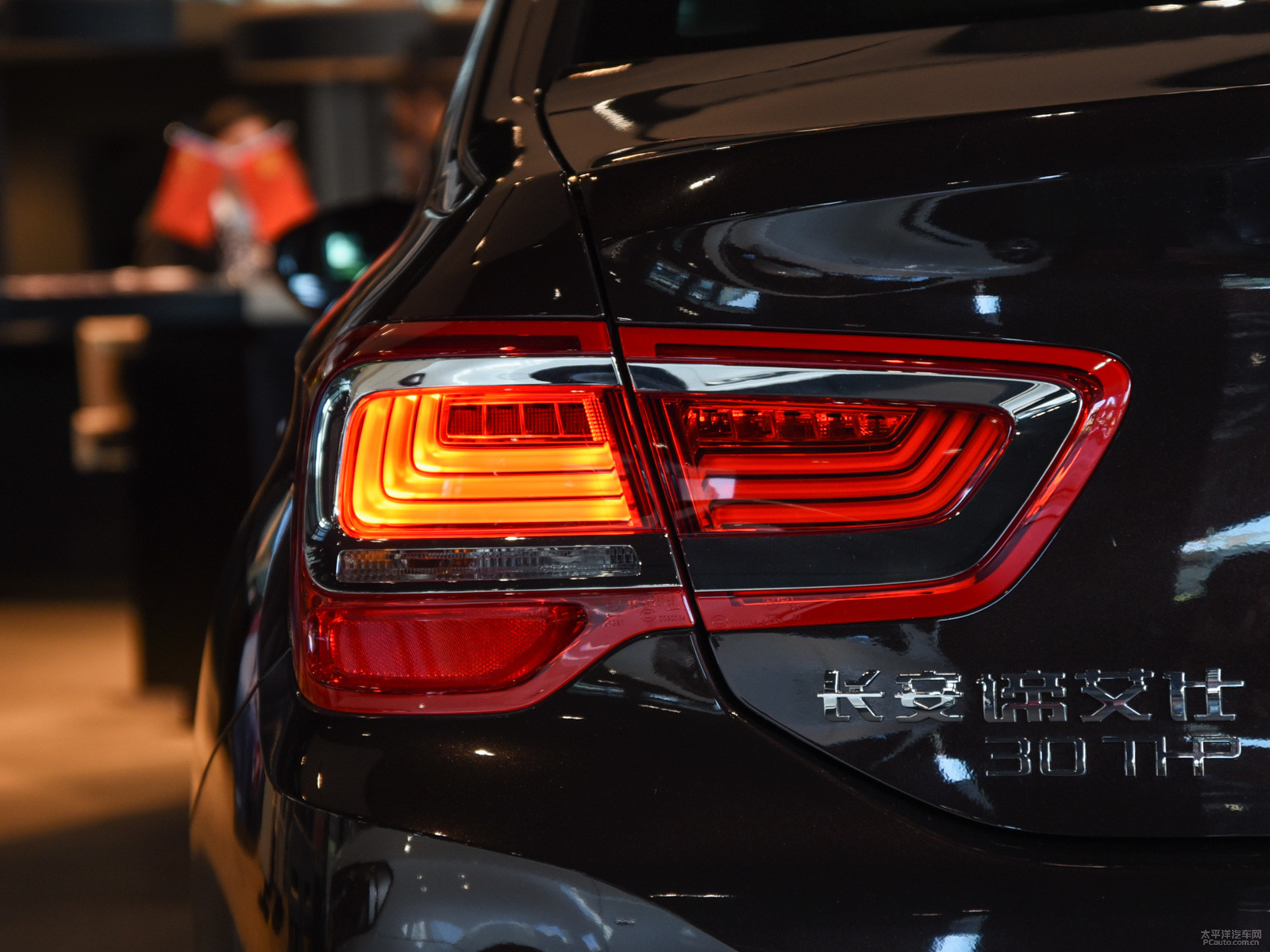 DS 5LS外觀高清大圖