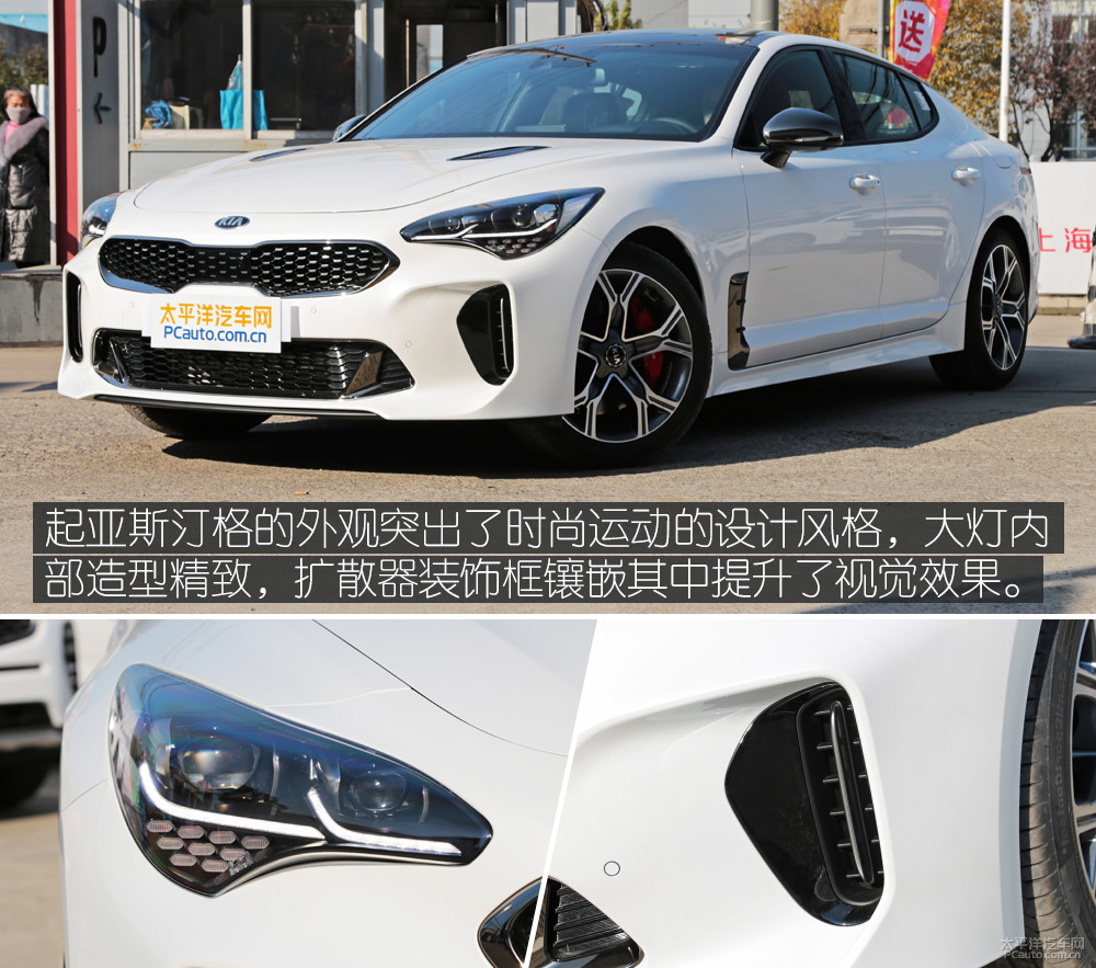 斯汀格圖解高清大圖