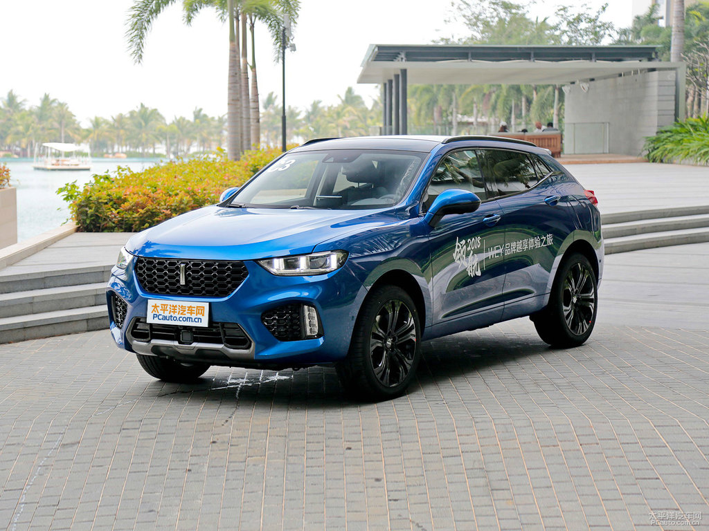 施華洛藍(lán)魏牌 VV5整車外觀外觀圖片