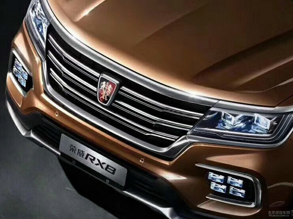 鉑金棕榮威RX8車頭外觀圖片