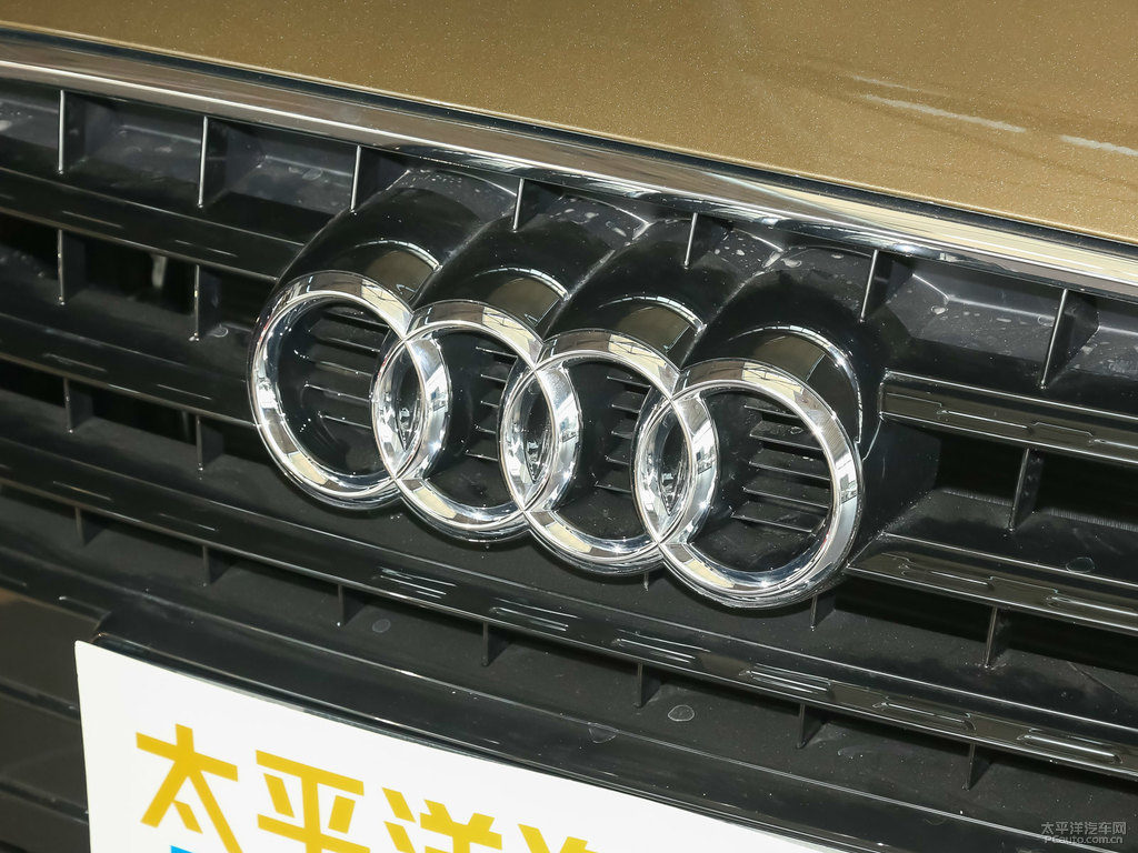 馴鹿棕奧迪Q3車頭外觀圖片