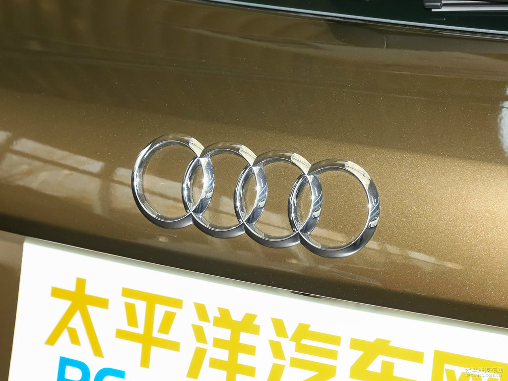 馴鹿棕奧迪Q3車尾外觀圖片