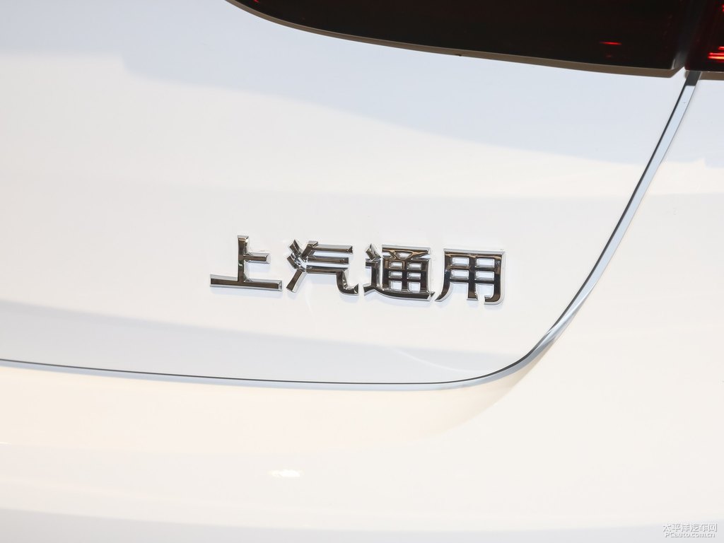雪域白威朗車(chē)尾外觀圖片