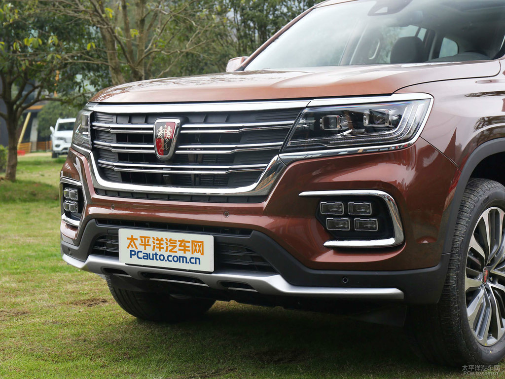 鉑金棕榮威RX8車頭外觀圖片