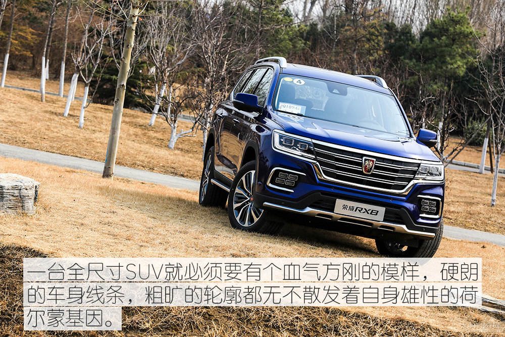 sRX8DƬ