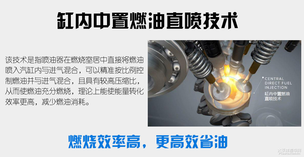 大指揮官圖片