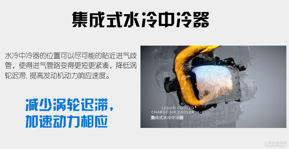 大指揮官圖片