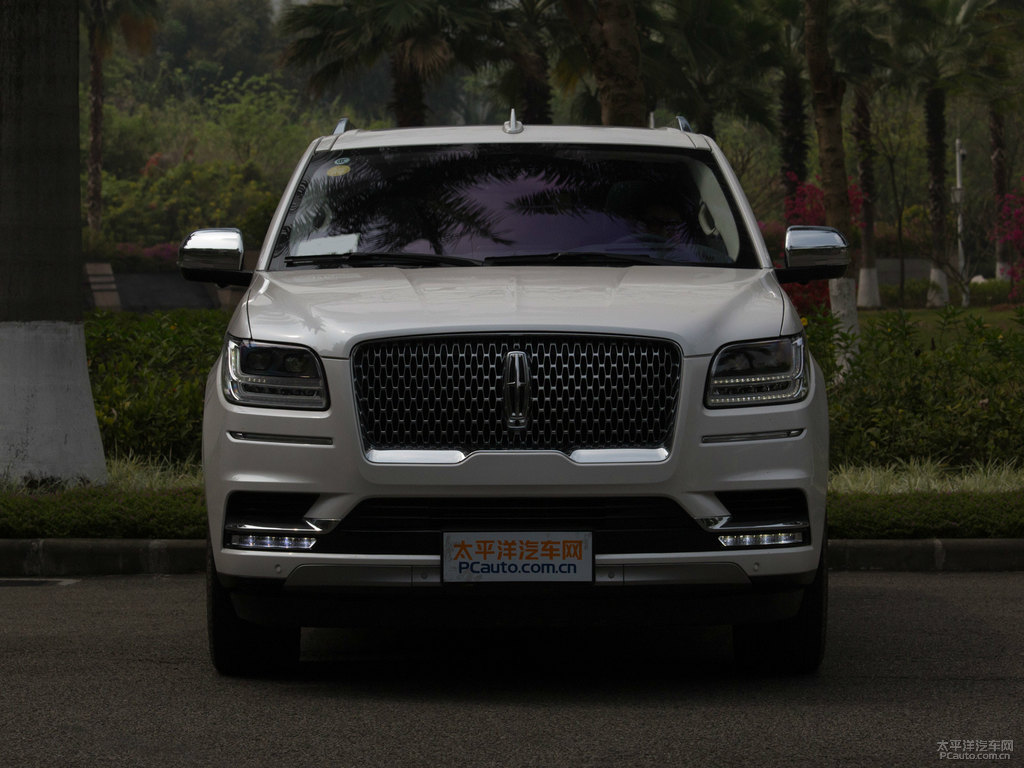 鉑鉆白領(lǐng)航員車頭外觀圖片