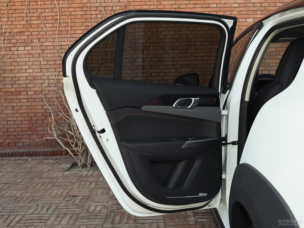 白領(lǐng)克02車廂內(nèi)飾圖片