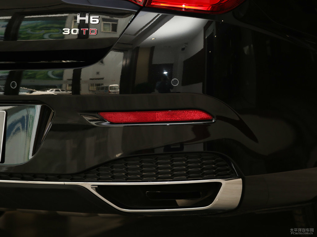 極夜黑紅旗H5經(jīng)典車(chē)尾外觀圖片