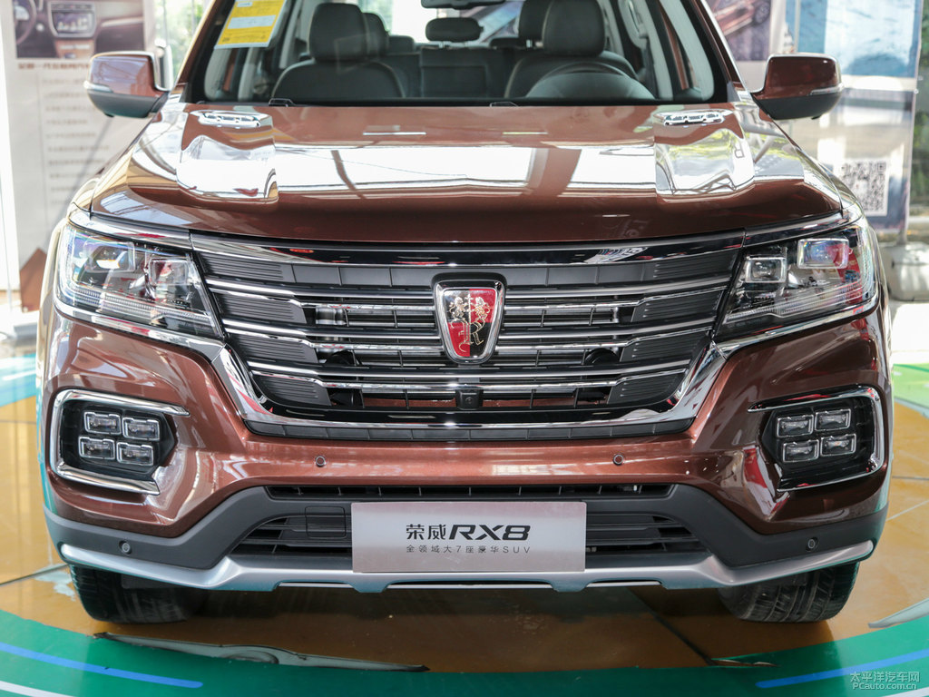 鉑金棕榮威RX8車頭外觀圖片