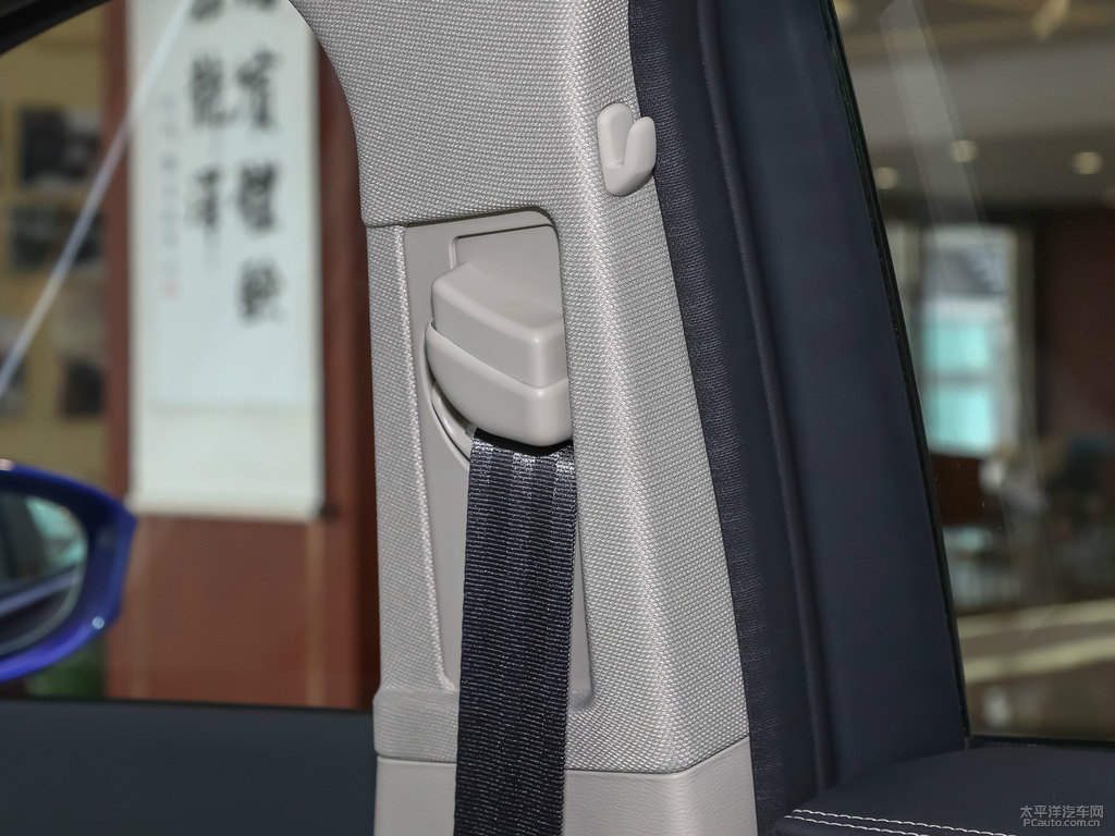 青川藍(lán)紅旗H5經(jīng)典車廂內(nèi)飾圖片