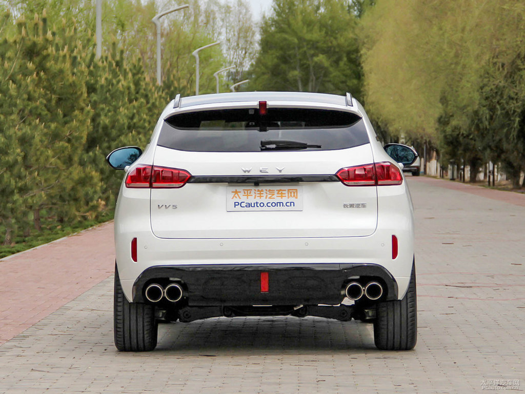 雪域白魏牌 VV5整車外觀外觀圖片