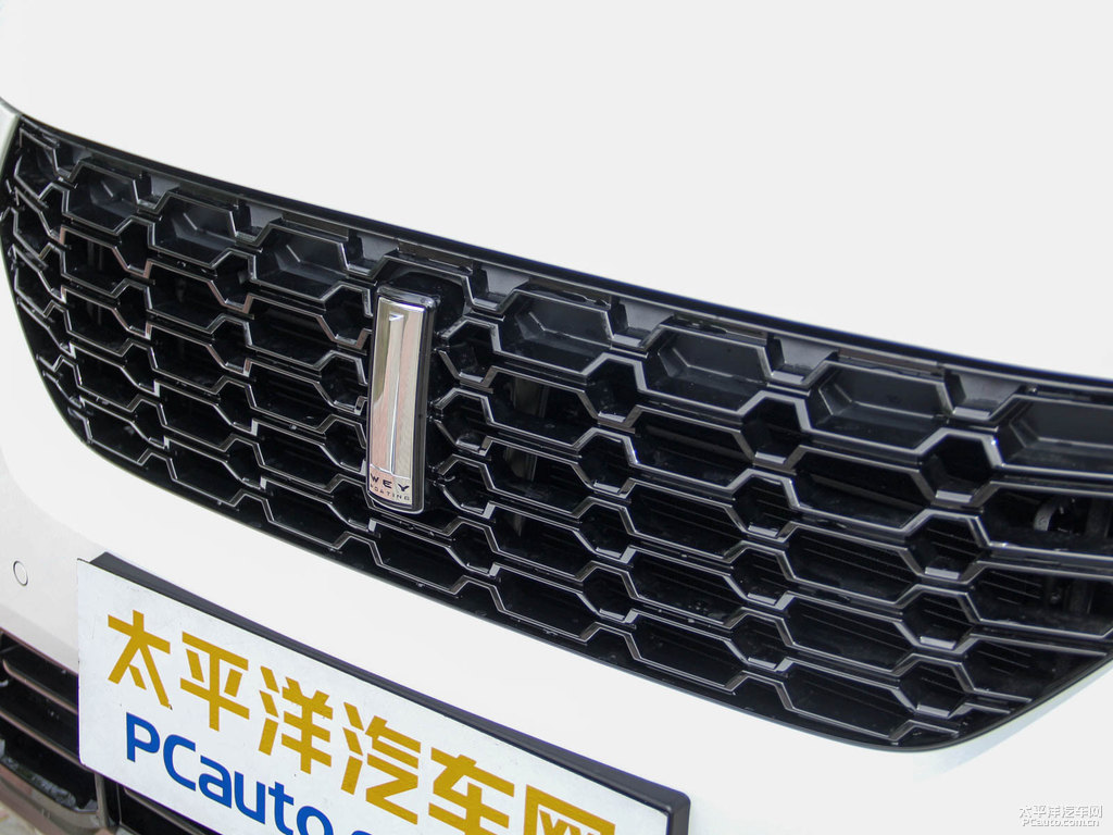 雪域白魏牌 VV5車頭外觀圖片