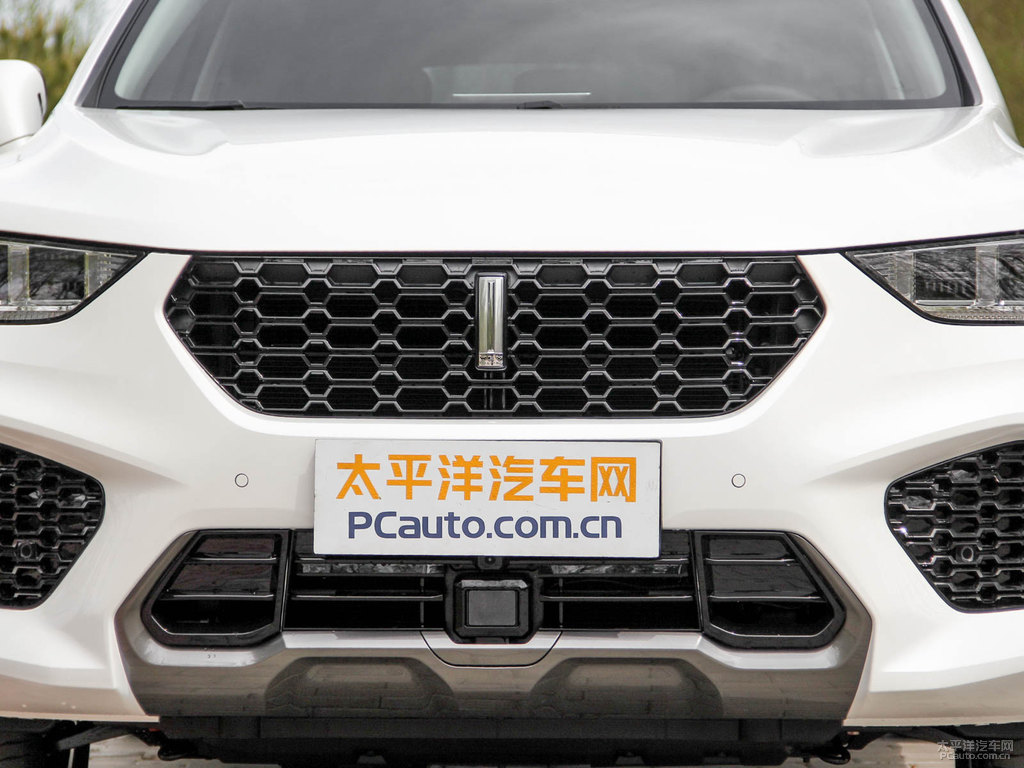 雪域白魏牌 VV5車頭外觀圖片