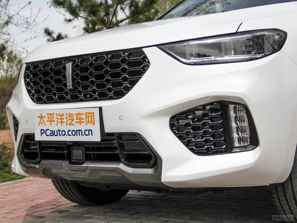 雪域白魏牌 VV5車頭外觀圖片