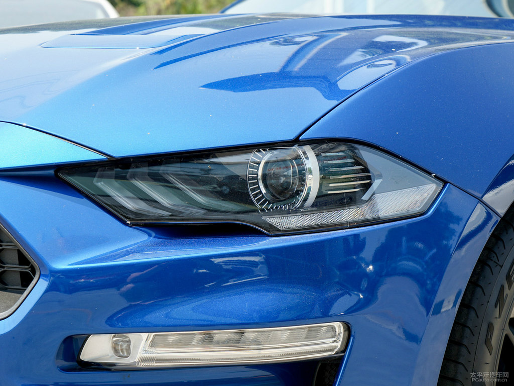 ǳ{(ln)Mustang܇(ch)^^DƬ