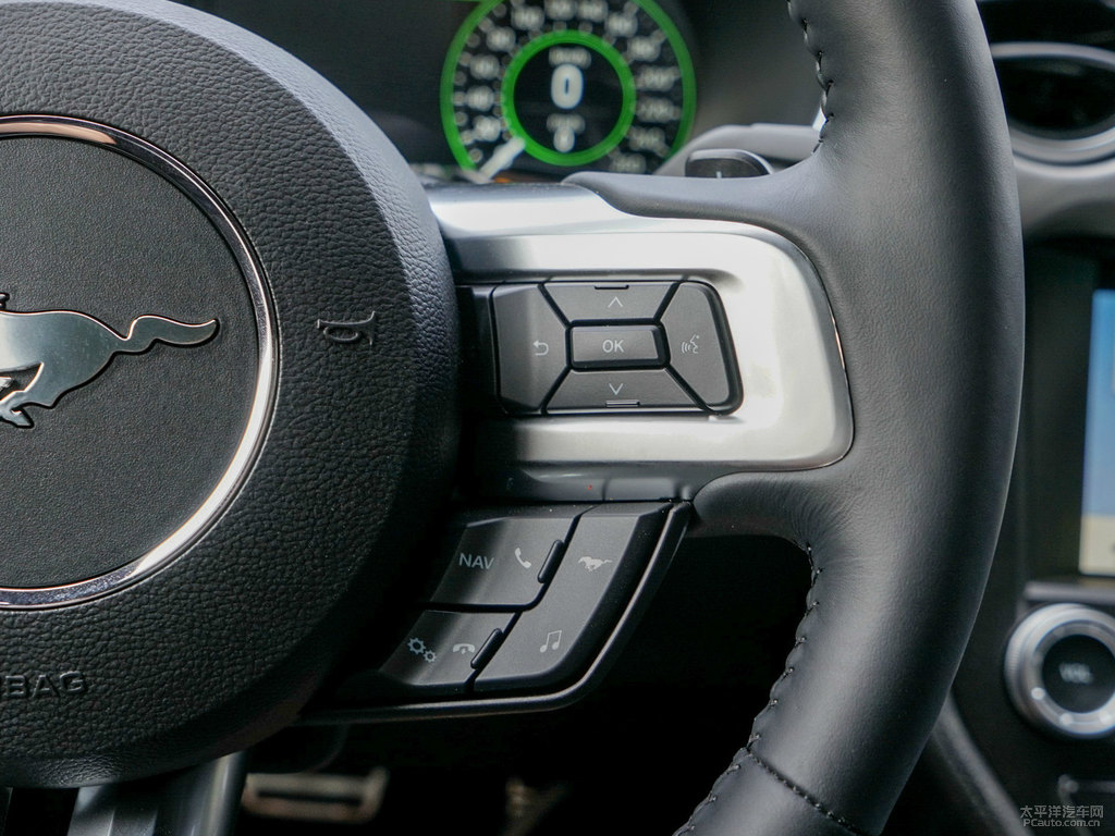ǳ{(ln)Mustangп؃(ni)DƬ