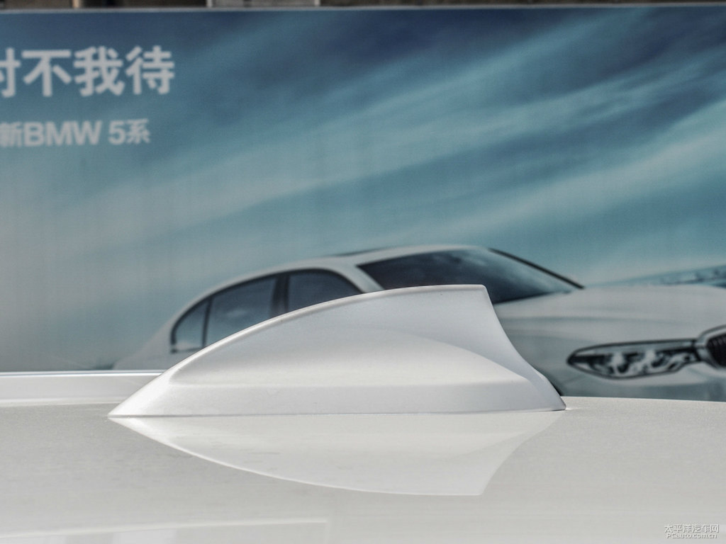 礦石白寶馬X5(進(jìn)口)車身外觀圖片