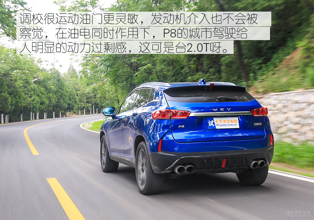 WEY P8圖片