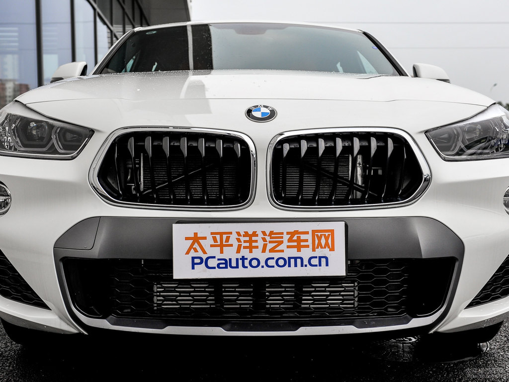 雪山白寶馬X2(進(jìn)口)車(chē)頭外觀圖片