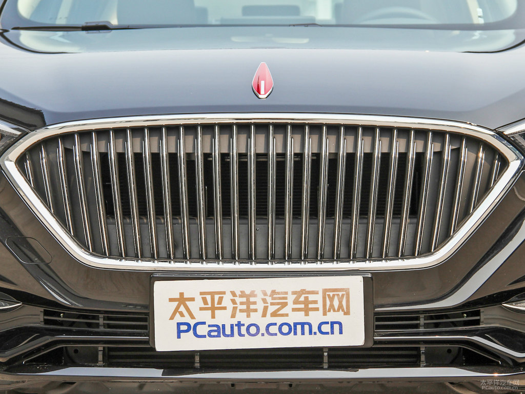 極夜黑紅旗H5經(jīng)典車頭外觀圖片