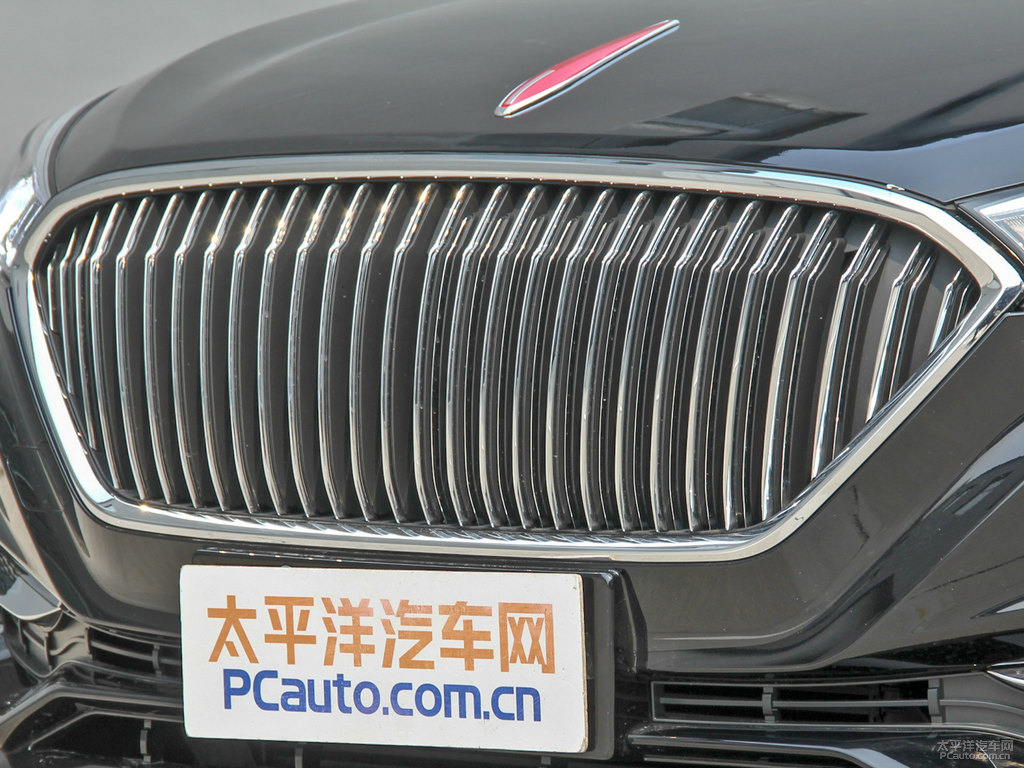 極夜黑紅旗H5經(jīng)典車(chē)頭外觀圖片