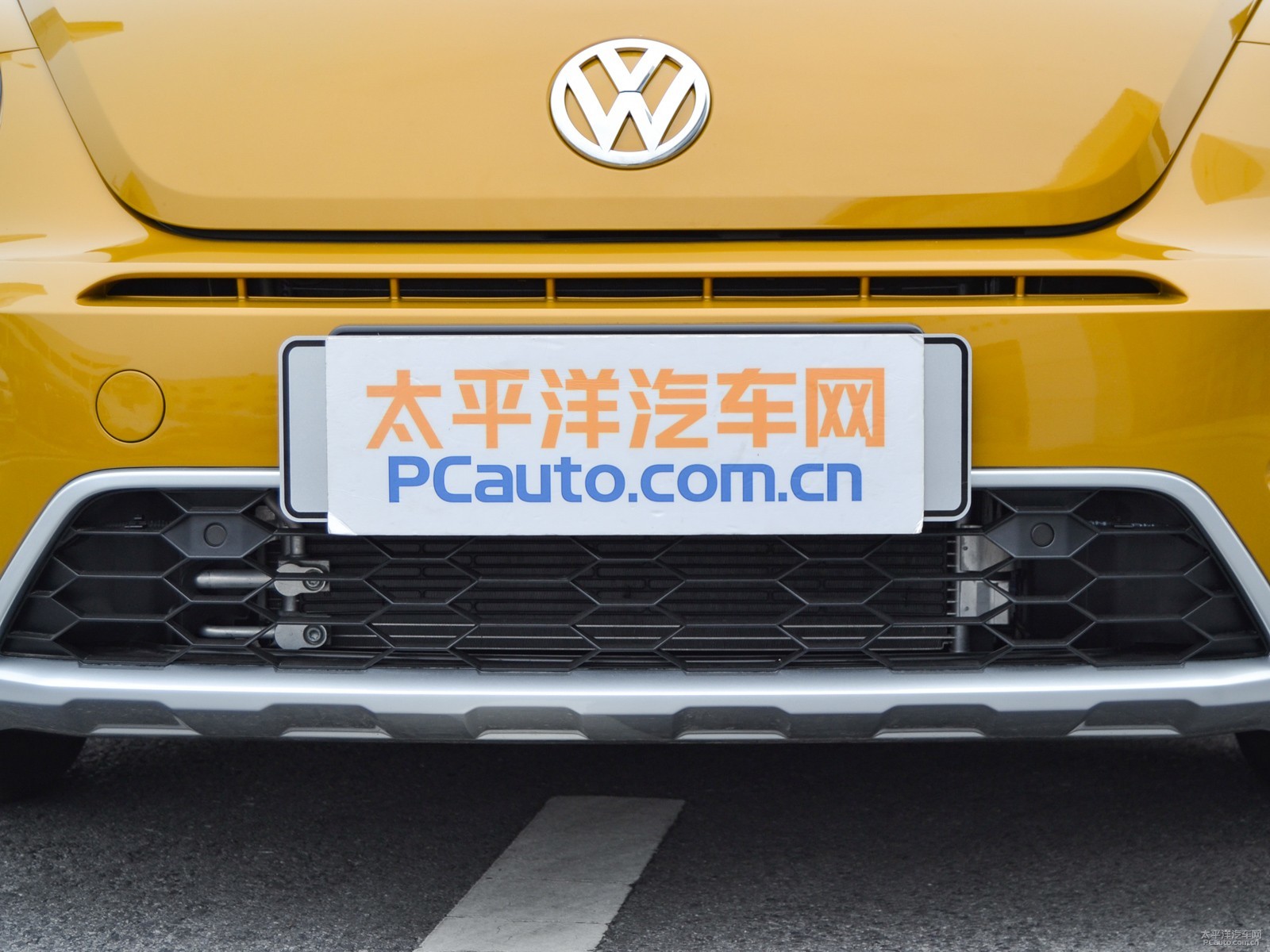 甲殼蟲外觀高清大圖