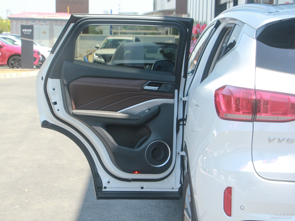 雪域白魏牌 VV6車廂內(nèi)飾圖片