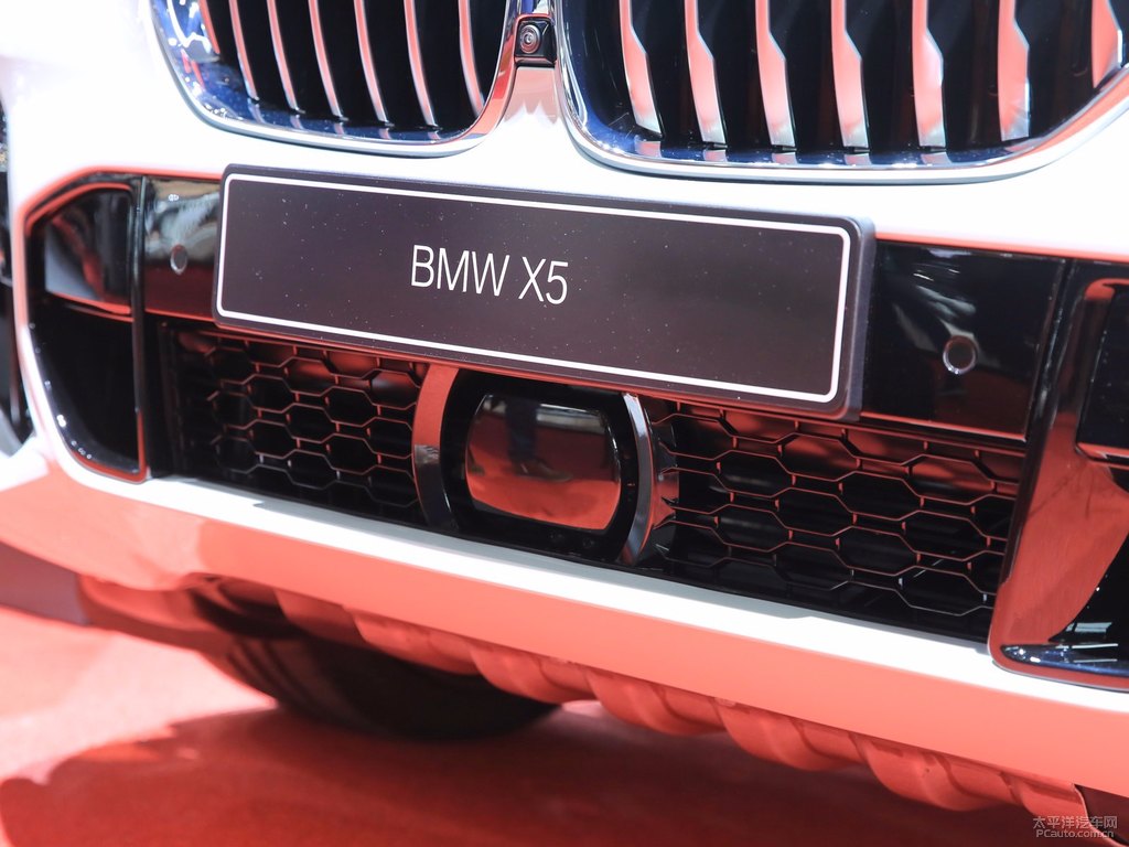 礦石白寶馬X5(進(jìn)口)車頭外觀圖片