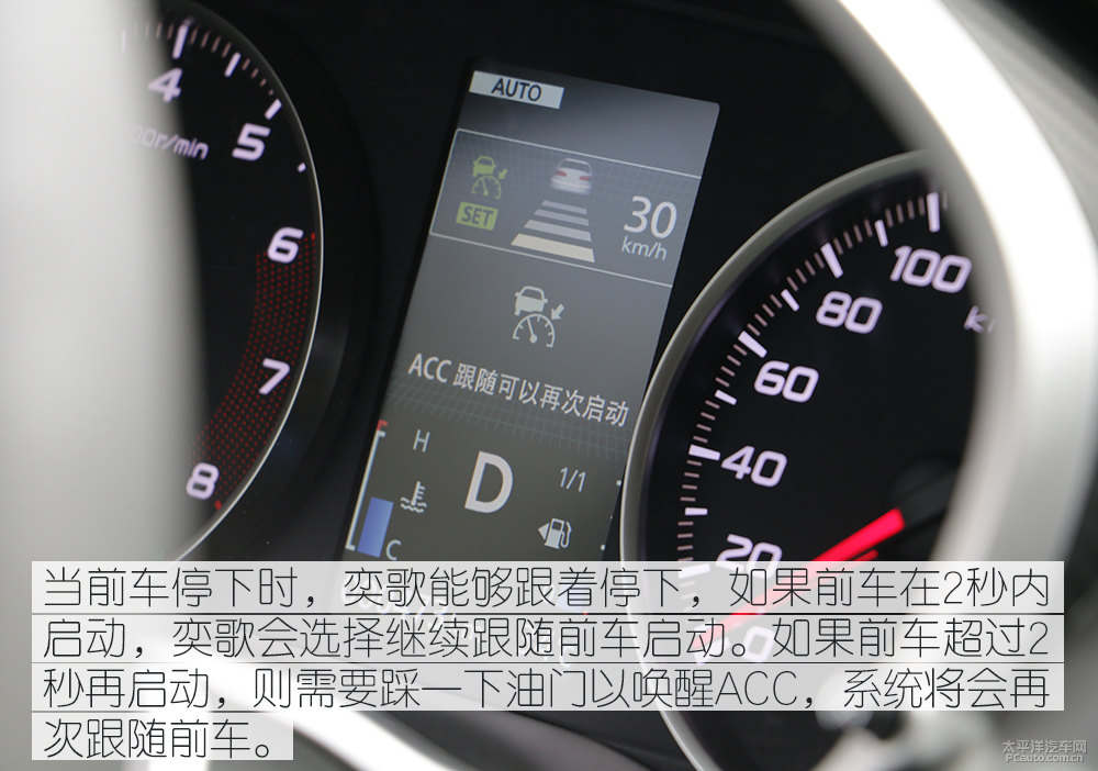 奕歌圖片