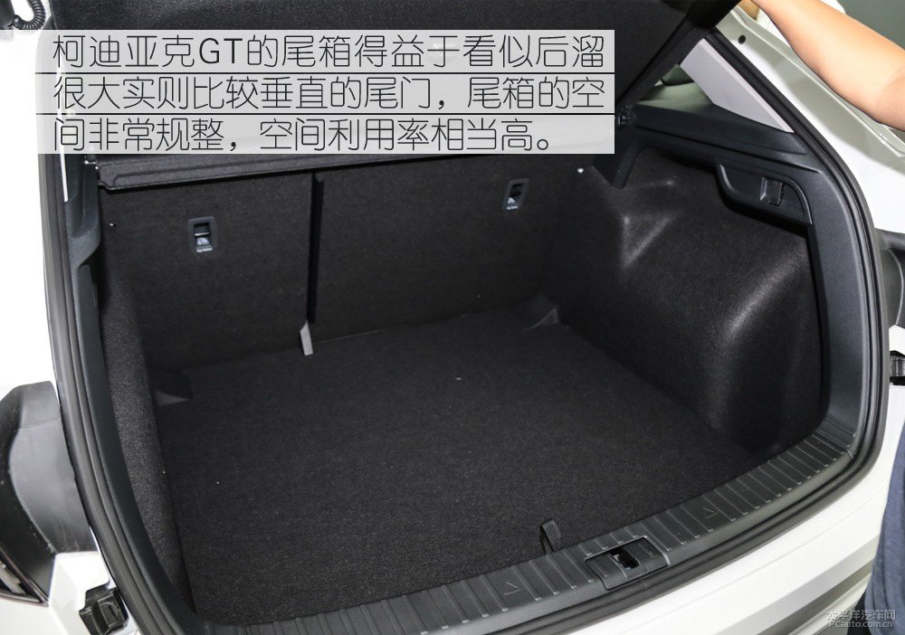 柯迪亞克圖片