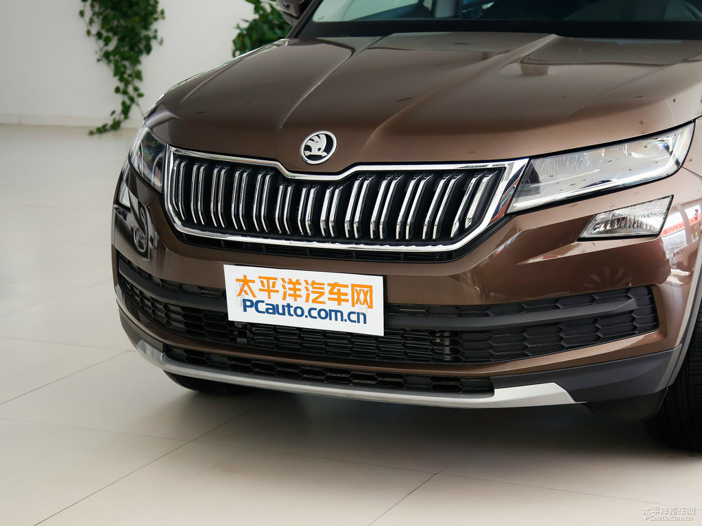 檀木棕柯迪亞克車頭外觀圖片