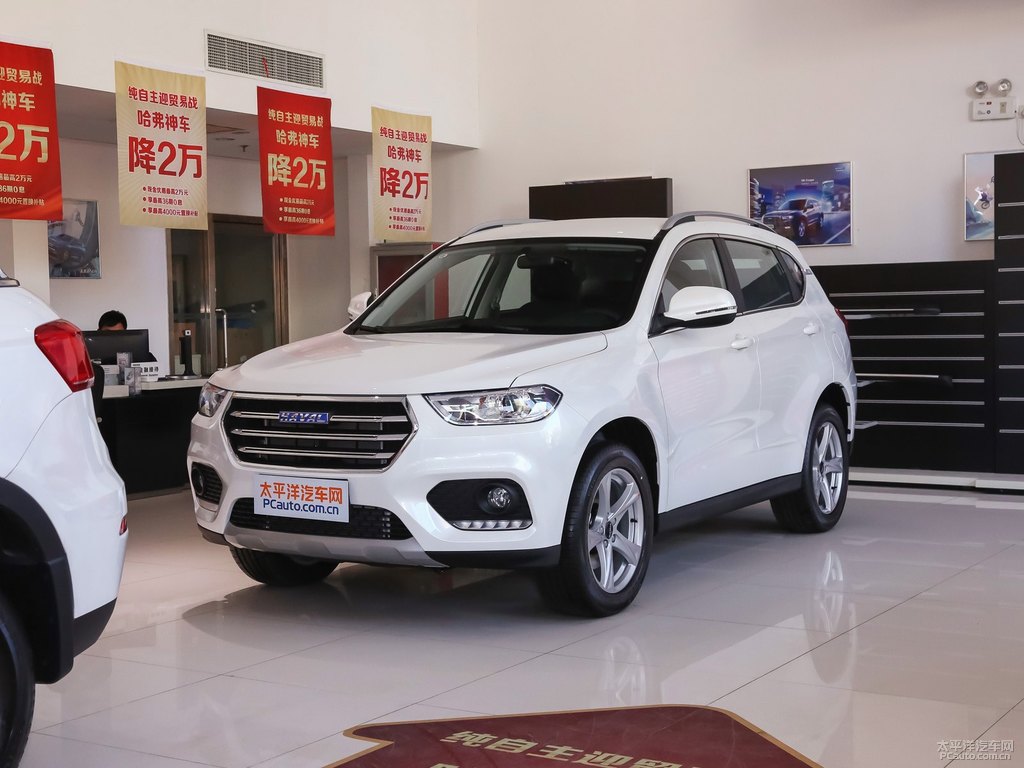 漢密爾頓白哈弗H2整車外觀外觀圖片