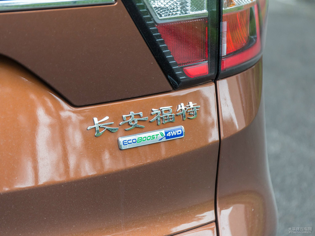 峽谷棕翼虎車(chē)尾外觀圖片