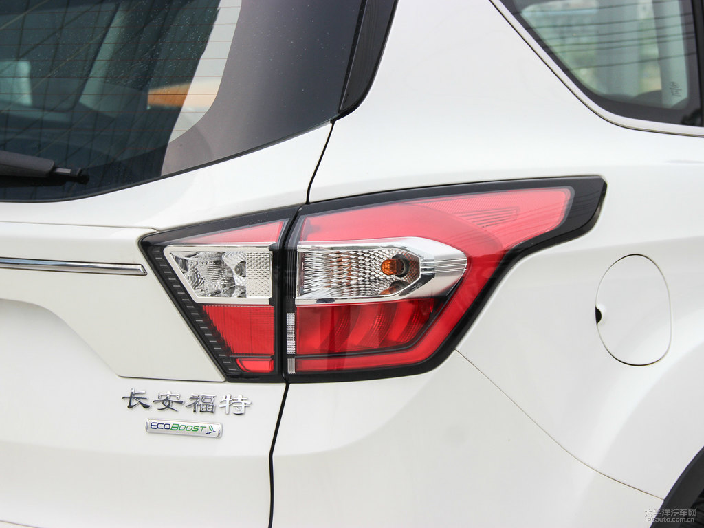 雪山白翼虎車尾外觀圖片