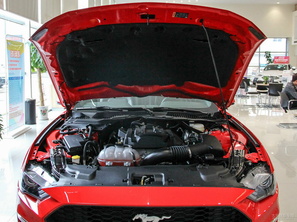 ʯtMustangl(f)(dng)C(j)(x)(ji)DƬ