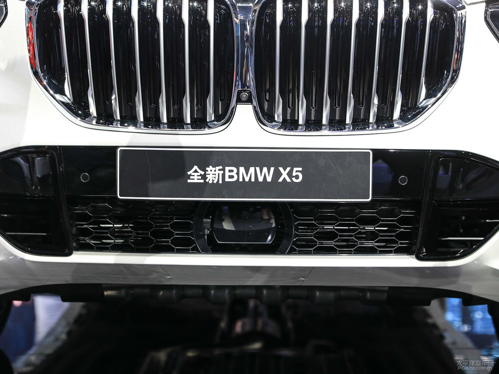 礦石白寶馬X5(進(jìn)口)車頭外觀圖片