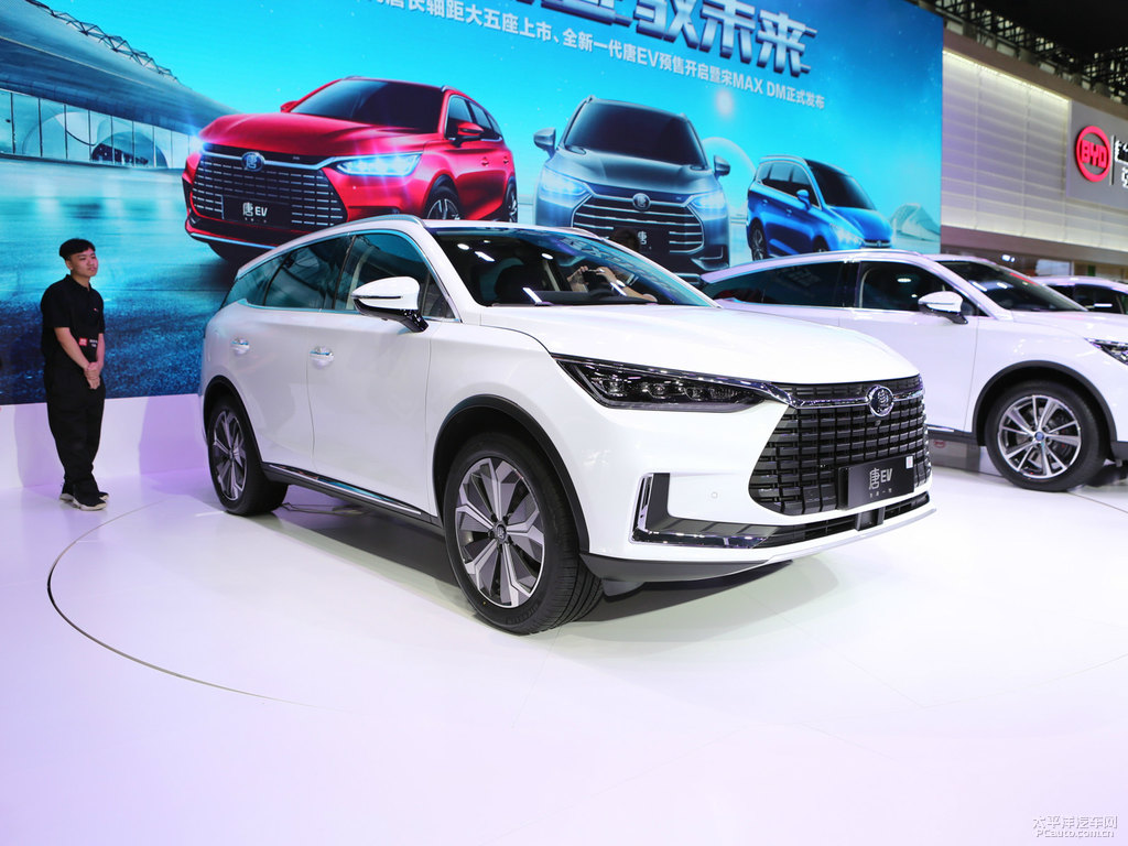 雪域白唐新能源整車(chē)外觀外觀圖片