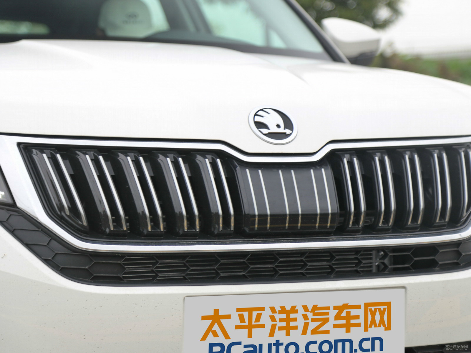 柯迪亞克GT外觀高清大圖