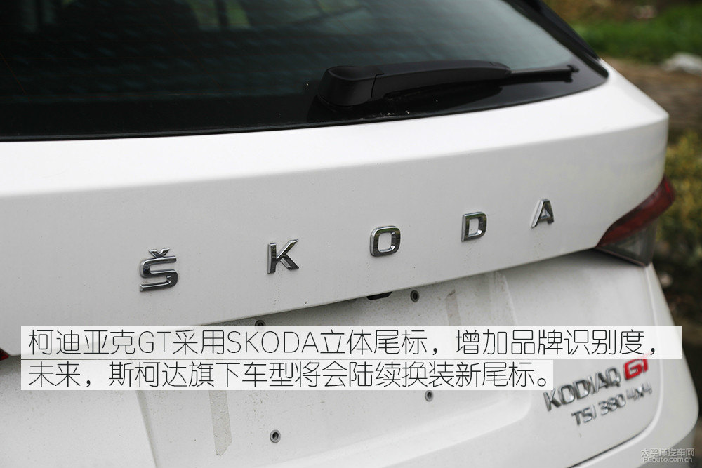 柯迪亞克圖片