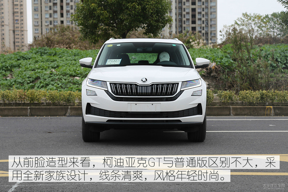柯迪亞克圖片
