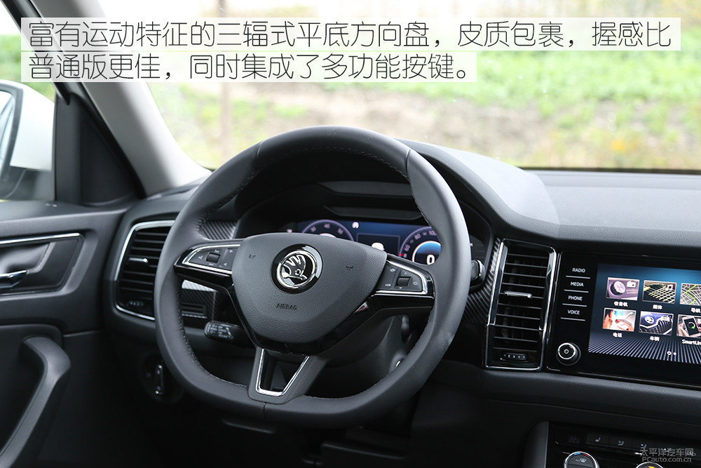 柯迪亞克圖片