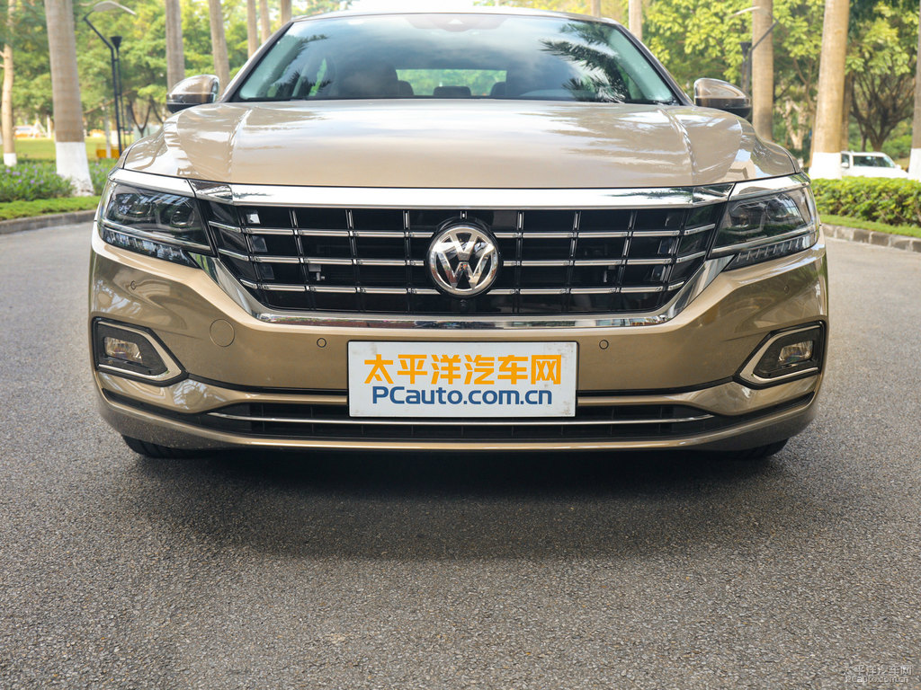 香檳金帕薩特車頭外觀圖片