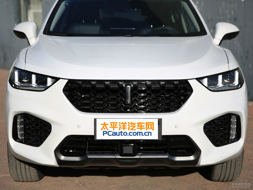 雪域白魏牌 VV5車頭外觀圖片