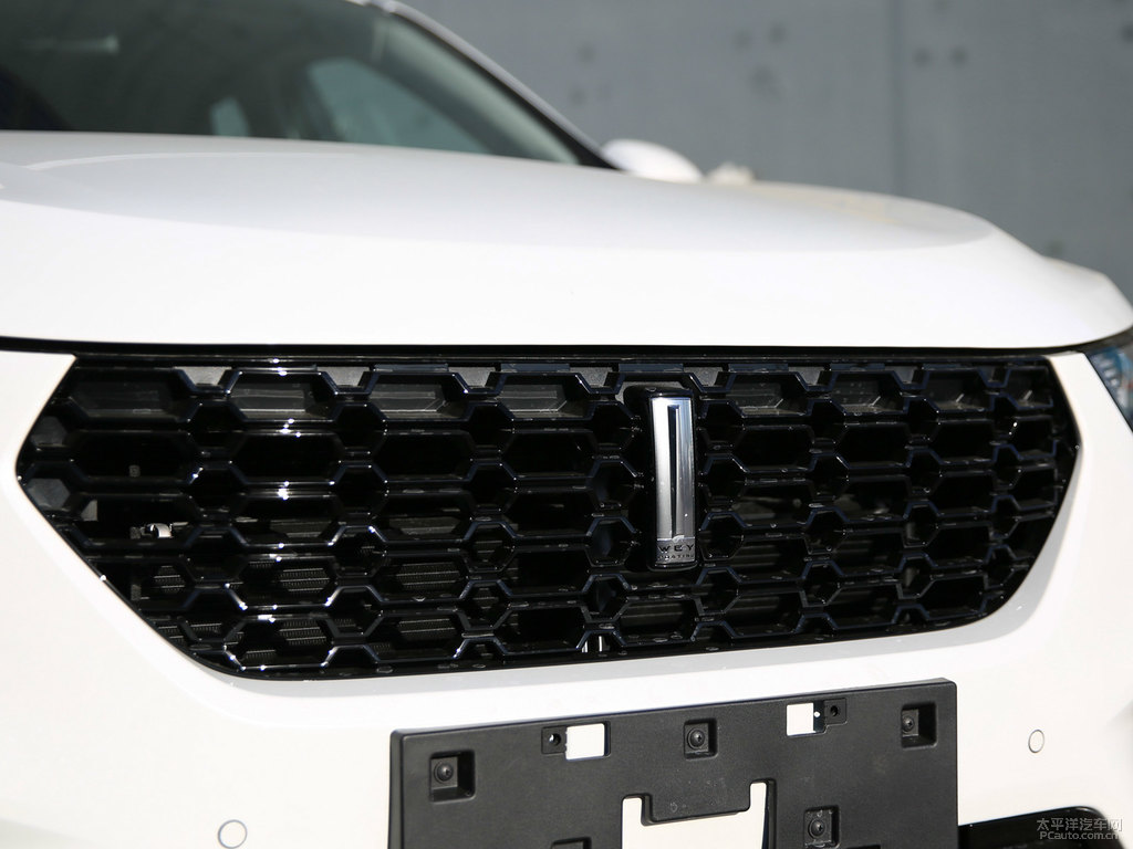 雪域白魏牌 VV5車頭外觀圖片