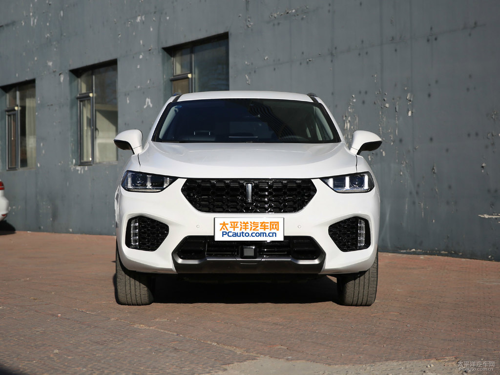雪域白魏牌 VV5整車外觀外觀圖片