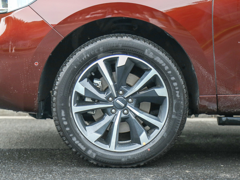 柚木棕色魏牌 VV5車身外觀圖片